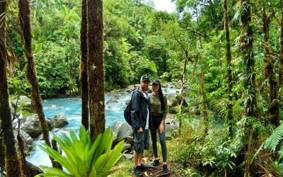 4 in 1 Rain forest, blue river, volcano mud baths, hot springs tour