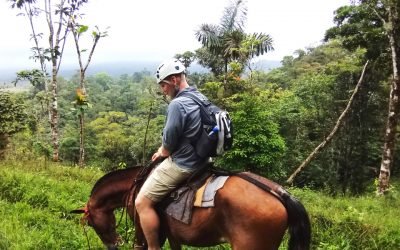 Wild Life and Horseback Riding Through the Rain Forest tour